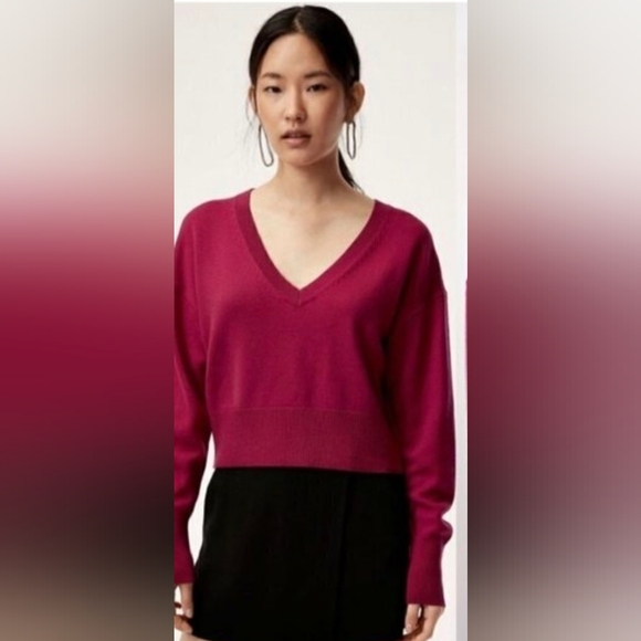 Aritzia Sweaters - BABATON- MERINO WOOL SWEATER